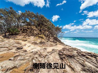 风吹不见往日（谢曦徐见山）全文免费阅读无弹窗大结局_谢曦徐见山最新章节列表_笔趣阁（风吹不见往日）