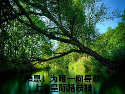 稍息！为唯一向导献上全星际路枝枝（稍息！为唯一向导献上全星际路枝枝）全文免费阅读无弹窗大结局稍息！为唯一向导献上全星际路枝枝