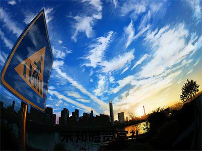 (番外)+(全文)风止于她心动时宋知晓贺宴礼：结局+番外(宋知晓贺宴礼)全文免费阅读无弹窗大结局_(风止于她心动时宋知晓贺宴礼：结局+番外)最新章节列表_笔趣阁(宋知晓贺宴礼)