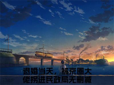 乔以棠谢承砚小说(乔以棠谢承砚)终章+番外（退婚当天，被京圈大佬拐进民政局）一口气阅读