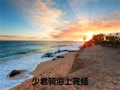 施宣铃越无咎小说完本(施宣铃越无咎)（少君骑海上）前传+整本阅读全新作品预订