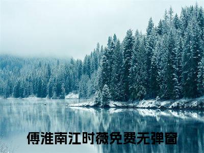 (傅淮南江时薇：无广告+大结局）傅淮南江时薇小说（傅淮南江时薇：无广告+大结局)已完结无弹窗_