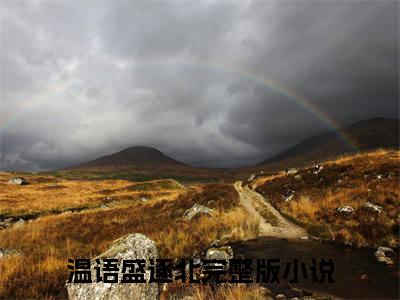 温语盛逐北全文免费阅读无弹窗大结局_温语盛逐北（呢喃情诗）小说结局免费阅读（呢喃情诗）
