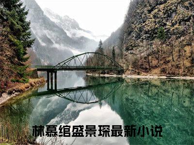 林慕绾盛景琛（林慕绾盛景琛）全文免费阅读无弹窗大结局_林慕绾盛景琛最新章节列表_笔趣阁（林慕绾盛景琛）