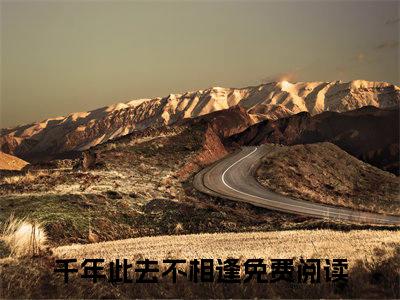 千年此去不相逢全本资源（盛驰序姜枕意）全文免费阅读无弹窗大结局_盛驰序姜枕意最新章节列表（千年此去不相逢）