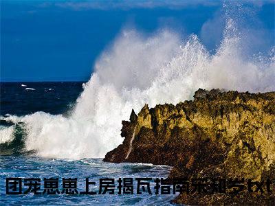 (番外)+(全文)团宠崽崽上房揭瓦指南宋知岁：全文+后续(团宠崽崽上房揭瓦指南宋知岁)全文小说最新列表_团宠崽崽上房揭瓦指南宋知岁：全文+后续全文+(团宠崽崽上房揭瓦指南宋知岁)全文阅读无弹窗团宠崽崽上房揭瓦指南宋知岁：全文+后续
