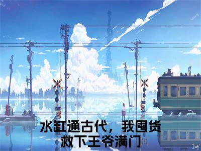 顾苒苒沈墨渊（水缸通古代，我囤货救下王爷满门）全文免费阅读无弹窗大结局_（水缸通古代，我囤货救下王爷满门）免费阅读无弹窗最新章节列表