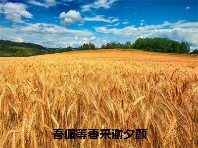 吾偏等春来谢夕颜（陆观谢夕颜）全本完整版免费阅读_（吾偏等春来谢夕颜）陆观谢夕颜全文章节目录_笔趣阁
