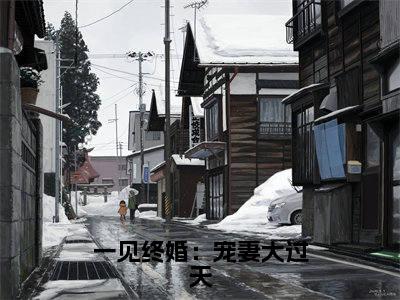 一见终婚:宠妻大过天小说(沈子妍全文完整版免费阅读)_一见终婚:宠妻大过天小说免费最新章节列表_笔趣阁