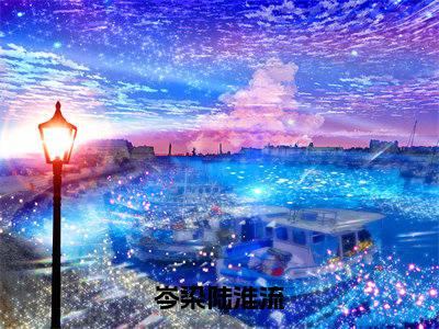 岑染陆淮流免费阅读无弹窗,小说岑染陆淮流大结局全文免费阅读