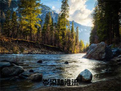 岑染陆淮流(岑染陆淮流)全文免费阅读无弹窗大结局_岑染陆淮流最新章节列表_笔趣阁(岑染陆淮流)