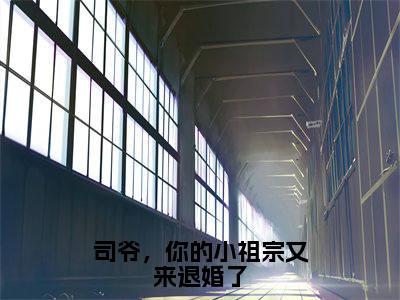 司爷,你的小祖宗又来退婚了(秦婳司承琛小说)最新在线阅读_秦婳司承琛小说免费阅读