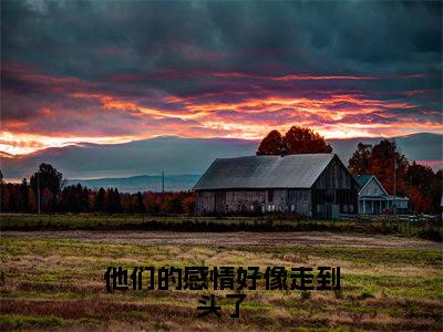 他们的感情好像走到头了免费阅读(谢祁沈轻颜)全文免费阅读无弹窗大结局_他们的感情好像走到头了免费阅读最新章节列表