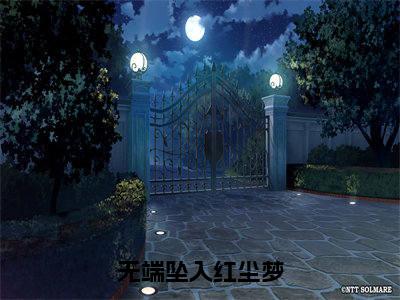 秦执礼云袭月(无端坠入红尘梦)小说全文免费阅读正版无弹窗无端坠入红尘梦全文无弹窗阅读