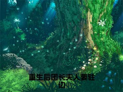 重生后团长夫人要驻边(沈清妍陆宴州)全文免费阅读无弹窗大结局_沈清妍陆宴州全文在线阅读