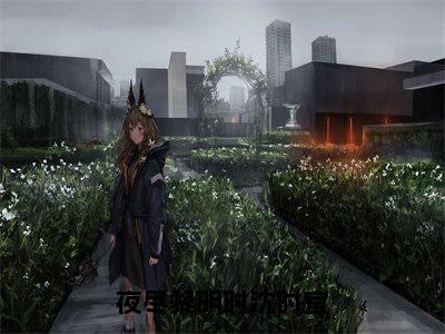 (夜尽黎明时沈时宜)林斯珩沈时宜全文免费阅读无弹窗完整版_林斯珩沈时宜小说全文免费阅读