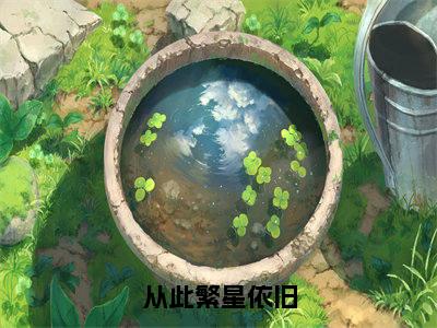 梁暮雪小说(从此繁星依旧)全文免费阅读无弹窗大结局_梁暮雪小说最新章节列表
