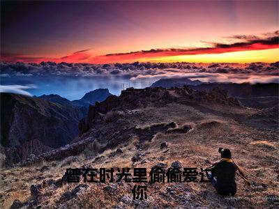 姜晚意孟淮序（曾在时光里偷偷爱过你）全文免费阅读无弹窗大结局_姜晚意孟淮序小说全文大结局