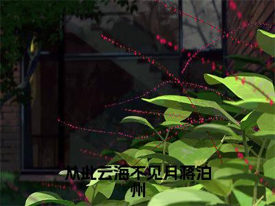 从此云海不见月蒋泊州小说(沈佳期蒋泊州)全文免费阅读_(从此云海不见月蒋泊州小说)沈佳期蒋泊州小说精彩在线赏析