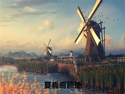 夏栀栀顾绝是什么小说,夏栀栀顾绝(夏栀栀顾绝)完整章节在线阅读