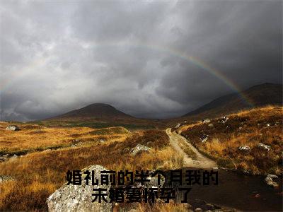 婚礼前的半个月我的未婚妻怀孕了小说:（婚礼前的半个月我的未婚妻怀孕了）全文免费阅读无弹窗大结局_黎云泽小说:婚礼前的半个月我的未婚妻怀孕了最新章节列表