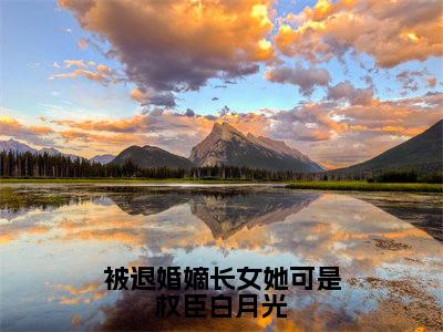 沈如筠左云桉全文免费阅读_(被退婚嫡长女她可是权臣白月光免费阅读无弹窗)沈如筠左云桉最新章节列表笔趣阁