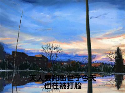 夫人要和离世子今天也在被打脸（大结局小说全集完整版）顾明珠谢庭之小说_夫人要和离世子今天也在被打脸全文阅读笔趣阁