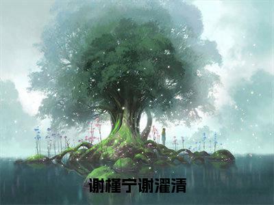 谢槿宁谢濯清抖音完结版阅读《谢槿宁谢濯清》最新章节目录好书推荐_(谢槿宁谢濯清)