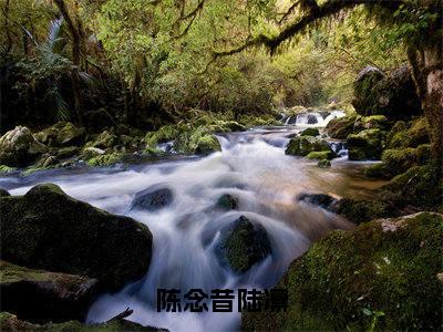 陆凛陈念昔在线阅读(陈念昔陆凛小说)全文免费阅读无弹窗大结局_陈念昔陆凛免费最新章节列表