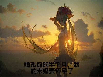 婚礼前的半个月，我的未婚妻怀孕了无广告小说免费阅读，婚礼前的半个月，我的未婚妻怀孕了黎云泽完结小说在线阅读