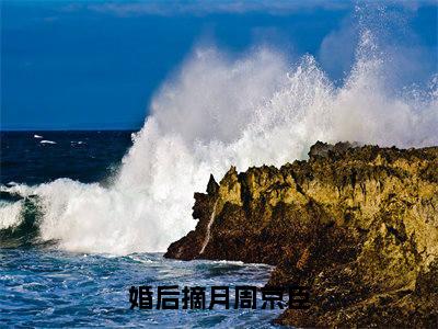 周京臣沈星漫全文免费阅读大结局-婚后摘月周京臣结局免费阅读