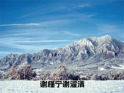 谢槿宁谢濯清（谢槿宁谢濯清大结局小说全集完整版）_（谢槿宁谢濯清小说）谢槿宁谢濯清全文阅读笔趣阁