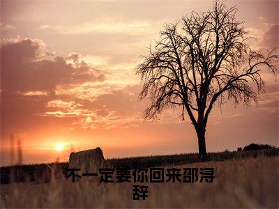 秦芷薏邵浔辞(不一定要你回来邵浔辞)免费阅读无弹窗大结局_(不一定要你回来邵浔辞)秦芷薏邵浔辞最新章节列表_笔趣阁