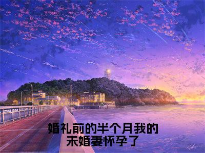 婚礼前的半个月我的未婚妻怀孕了（黎云泽）热推现言小说-婚礼前的半个月我的未婚妻怀孕了小说在哪里可以看全文