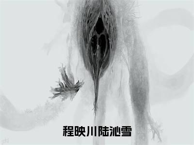 程映川陆沁雪（程映川陆沁雪最新全章节大结局）全文阅读-程映川陆沁雪程映川陆沁雪在线小说免费阅读