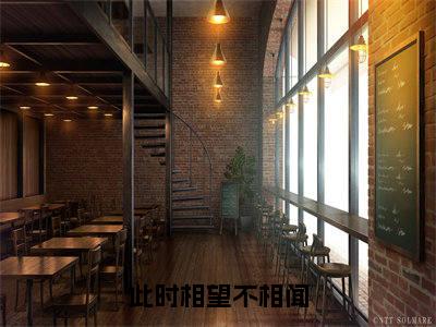 苏在野珠落(此时相望不相闻)完整版小说阅读-苏在野珠落小说(此时相望不相闻)精彩免费试读