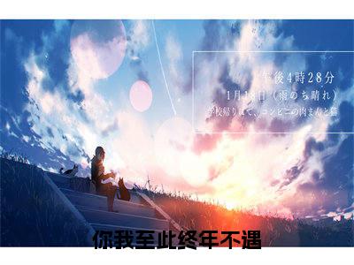 你我至此终年不遇(司止渊苏婉)最新章节阅读-热点小说榜单推荐司止渊苏婉