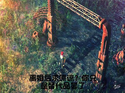 秦双全文免费(离婚后求原谅?你只是替代品罢了)全文免费阅读无弹窗大结局_(秦双全文免费)