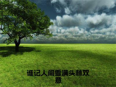 谁记人间雪满头林双意(沈铭礼林双意)全文免费读无弹窗大结局_谁记人间雪满头林双意免费阅读全文大结局最新章节列表