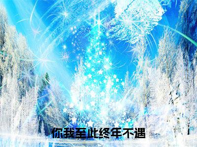 司止渊苏婉全文免费阅读无弹窗(你我至此终年不遇)小说-司止渊苏婉小说免费阅读
