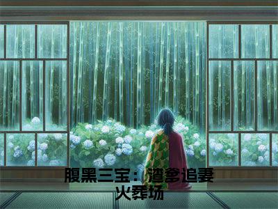厉墨司云琉璃小说-《腹黑三宝:渣爹追妻火葬场》完整章节阅读无弹窗免费阅读大结局