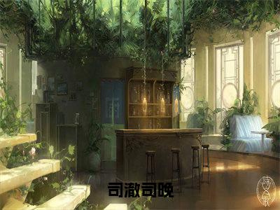 【新书】《司澈司晚》全文免费阅读最新章节大结局-司晚司澈全文全章节免费阅读