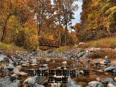 高冷指挥官别闹，我在哄崽（南星）全文免费阅读无弹窗大结局_高冷指挥官别闹，我在哄崽最新章节列表-笔趣阁南星