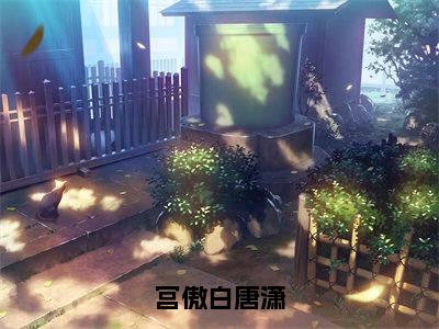 宫傲白唐潇全文小说（唐潇宫傲白）-完结版热文唐潇宫傲白（宫傲白唐潇）小说免费阅读
