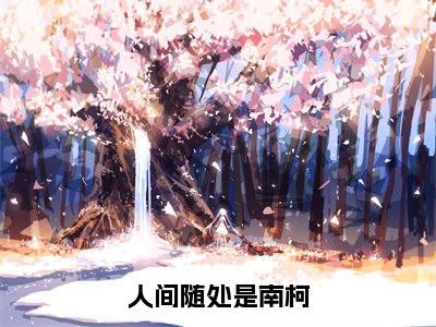 【新书】《人间随处是南柯》全文免费阅读最新章节大结局-裴司湛江云宁全文全章节免费阅读