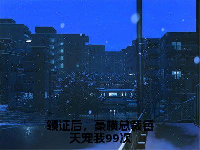 虞安安齐幼之(完整版)热文小说阅读-虞安安齐幼之全文抖音热推