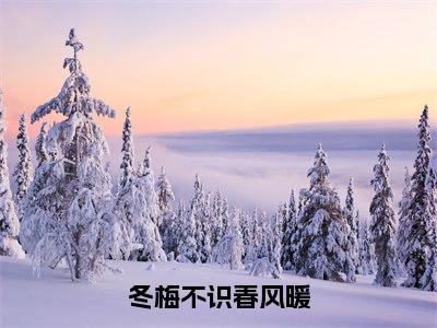 冬梅不识春风暖小说全文免费阅读（慕晚依顾承洲）全文免费阅读无弹窗_慕晚依顾承洲小说全文免费阅读