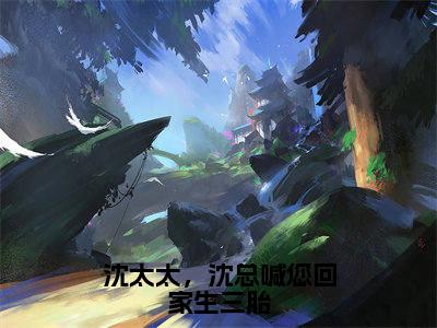 沈淮之时予小说全文-沈太太，沈总喊您回家生三胎精选小说沈淮之时予大结局阅读