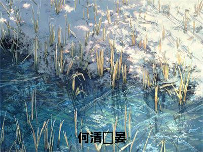 后续+免费何清顧晏（顧晏何清）全文小说在线阅读-何清顧晏全章节最新阅读