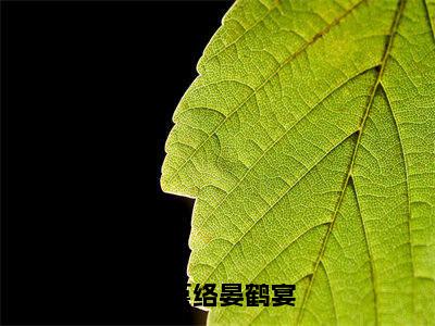 林堇络晏鹤宴晏鹤宴林堇络完整版最新小说大结局,林堇络晏鹤宴免费完结版